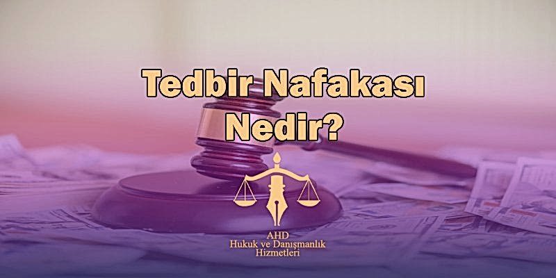 tedbir nafakası