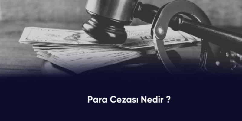 para cezası nedir
