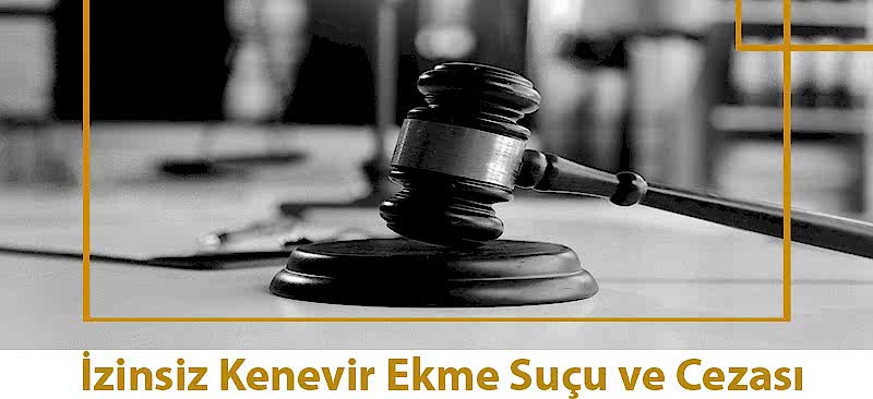 İzinsiz Kenevir Ekme Suçu ve Cezası