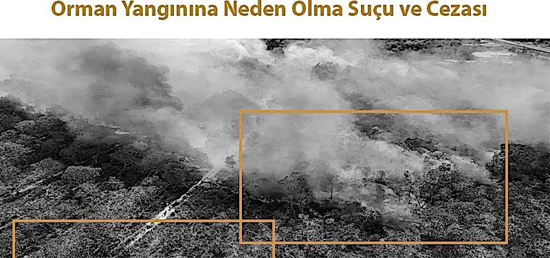 Orman Yangınına Neden Olma Suçu ve Cezası
